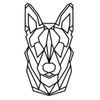 huskyprops